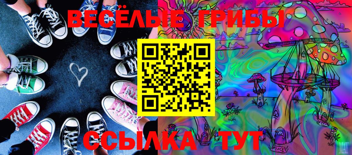 Копейск  Галлюциногенные грибы GOLDEN TEACHER  Вход с VPN 